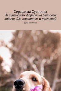50 рунических формул на бытовые задачи, для животных и растений. Руны в помощь