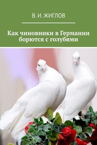 Как чиновники в Германии борются с голубями