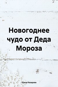 Новогоднее чудо от Деда Мороза