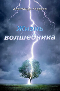 Жизнь волшебника
