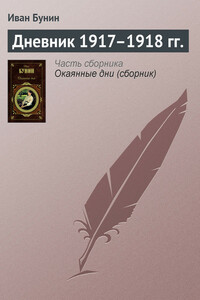 Дневник 1917–1918 гг.