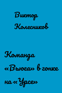 Команда «Вьюга» в гонке на «Урсе»