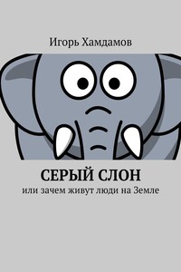 Серый слон. Или зачем живут люди на Земле