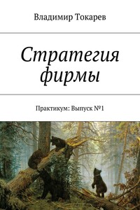 Стратегия фирмы. Практикум: Выпуск №1
