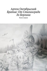Братья: от Сталинграда до Берлина. Книга первая