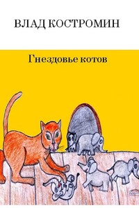 Гнездовье котов
