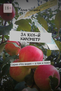 За 1001-й километр. Серия «Что видел – о том и пою»
