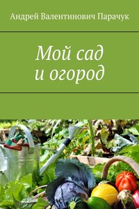 Мой сад и огород