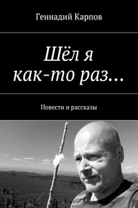 Шёл я как-то раз… Повести и рассказы
