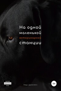 На одной маленькой ветеринарной станции