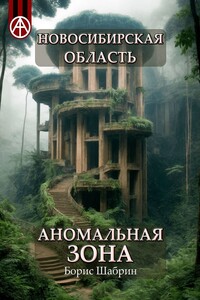 Новосибирская область. Аномальная зона