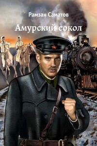 Амурский сокол. Путь Воина