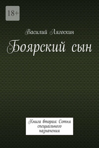 Боярский сын. Книга вторая: Сотня специального назначения