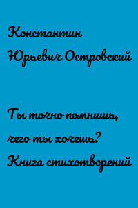 Ты точно помнишь, чего ты хочешь? Книга стихотворений