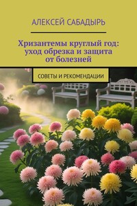 Хризантемы круглый год: уход обрезка и защита от болезней. Советы и рекомендации