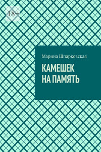 Камешек на память