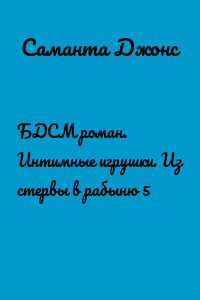 БДСМ роман. Интимные игрушки. Из стервы в рабыню 5