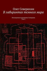 В лабиринтах темного мира. Похождения полковника Северцева. Том 2