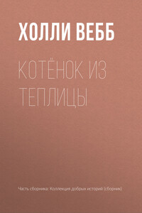 Котёнок из теплицы
