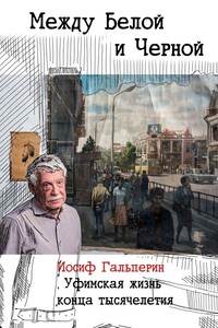 Между Белой и Черной. Уфимская жизнь конца тысячелетия