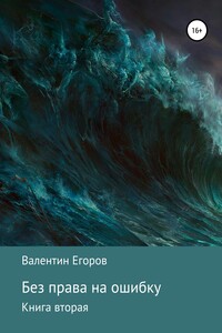 Без права на ошибку. Книга вторая