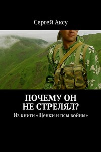 Почему он не стрелял? Из книги «Щенки и псы войны»
