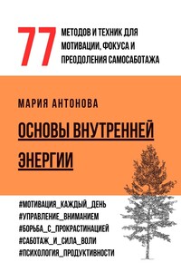 Основы внутренней энергии. 77 методов и техник для мотивации, фокуса и преодоления самосаботажа