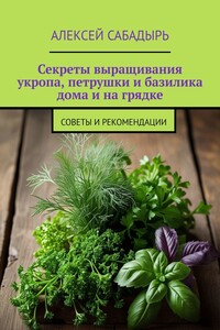 Секреты выращивания укропа, петрушки и базилика дома и на грядке. Советы и рекомендации