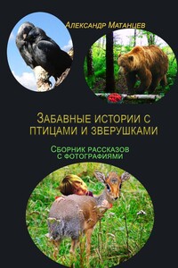 Забавные истории с птицами и зверушками. Сборник рассказов с фотографиями