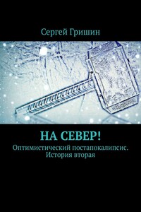 На север! Оптимистический постапокалипсис. История вторая