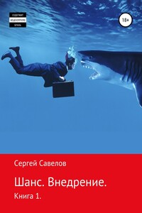 Шанс. Внедрение. (Я в моей голове). Книга 1