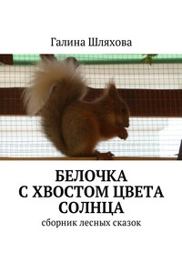 Белочка с хвостом цвета солнца. Сборник лесных сказок
