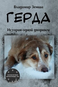 Герда. История одной дворняги