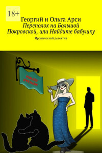 Переполох на Большой Покровской, или Найдите бабушку. Иронический детектив