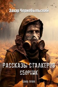 Рассказы сталкеров. Сборник