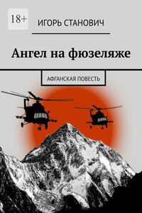 Ангел на фюзеляже. Афганская повесть