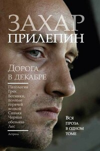 Дорога в декабре (сборник)