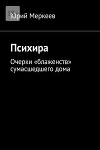 Психира. Очерки «блаженств» сумасшедшего дома
