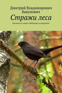 Стражи леса. Рассказы из серии «Наблюдая за природой»