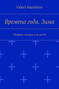 Времена года. Зима. Сборник загадок для детей