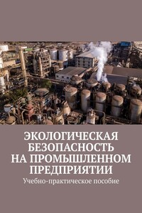 Экологическая безопасность на промышленном предприятии. Учебно-практическое пособие