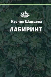 Лабиринт