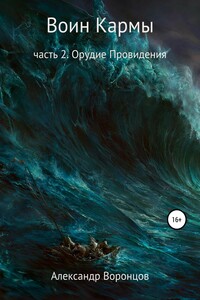 Воин Кармы. Часть 2. Орудие Провидения