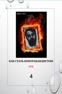 Как стать контрабандистом. 4. Суд
