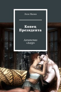 Конец Президента. Агентство «Амур»