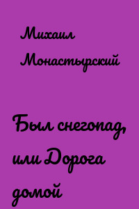 Был снегопад, или Дорога домой