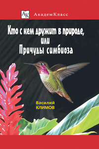 Кто с кем дружит в природе, или Причуды симбиоза