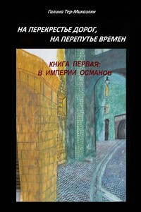 На перекрестье дорог, на перепутье времен. Книга первая: В ИМПЕРИИ ОСМАНОВ
