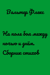 На поле боя между ночью и днём. Сборник стихов