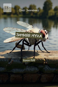 Зимняя муха. Роман-буф